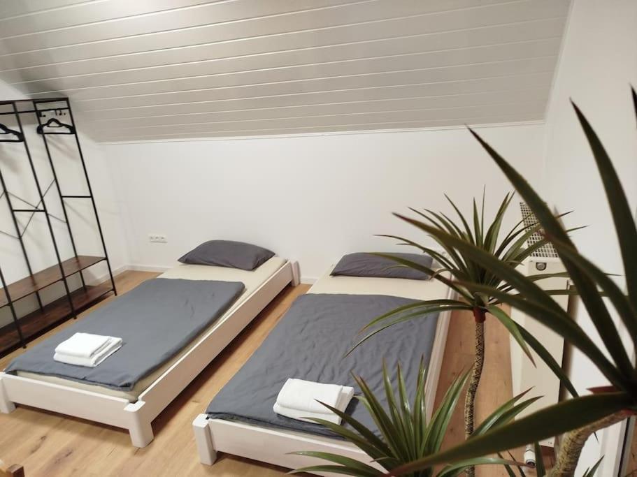 Appartement Design - Glauburg Exterior foto